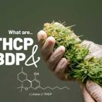 A Closer Look at the Chemical Properties of THC-P