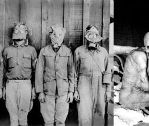 Is the Russian Sleep Experiment A True Story or Fictional Story?